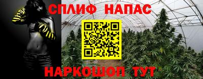 кокс Нальчик